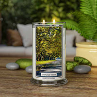 A lit Kringle Candle jar labeled “Spanish Moss” placed on a wooden surface surrounded by smooth gray and green stones, a yellow ceramic pot, and lush green ferns. The candle’s label displays a serene tree-lined path covered in Spanish moss. A cozy, blurred background with cushions enhances the peaceful, nature-inspired indoor setting.