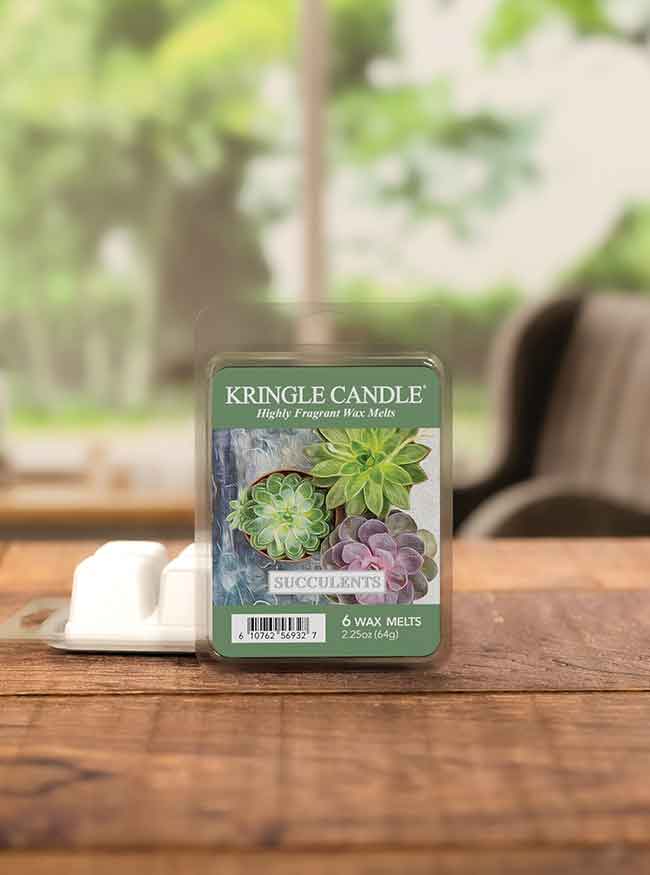 scentsy warmer with succulents Buy Succulents Wax Melt Online