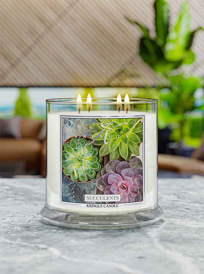 succulents candles Succulents
