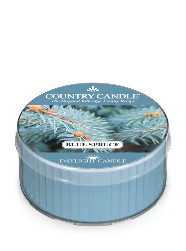 Blue Spruce | DayLight - Kringle Candle Company