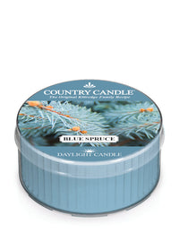 Blue Spruce | DayLight - Kringle Candle Company