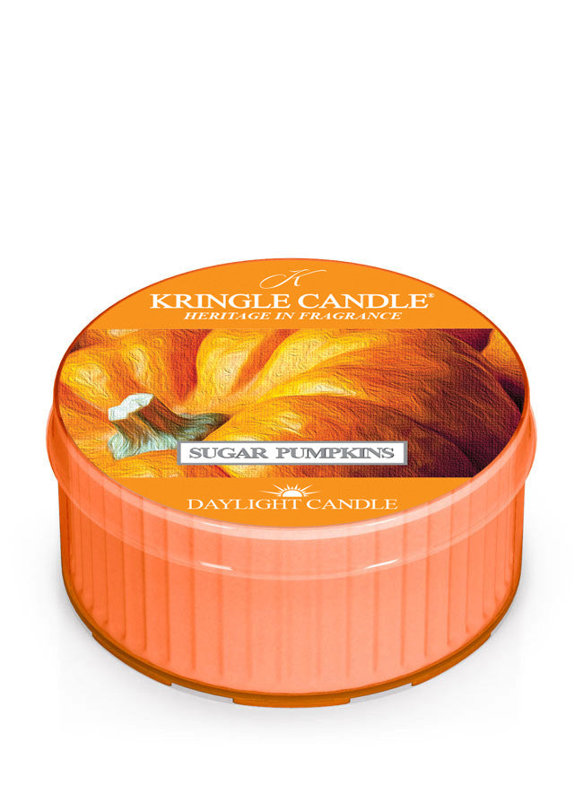 Sugar Pumpkins | DayLight - Kringle Candle Company