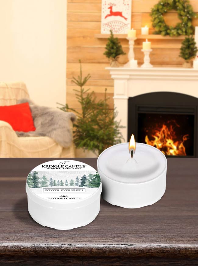 Winter Evergreen Scented DayLight Candle | Kringle Candle