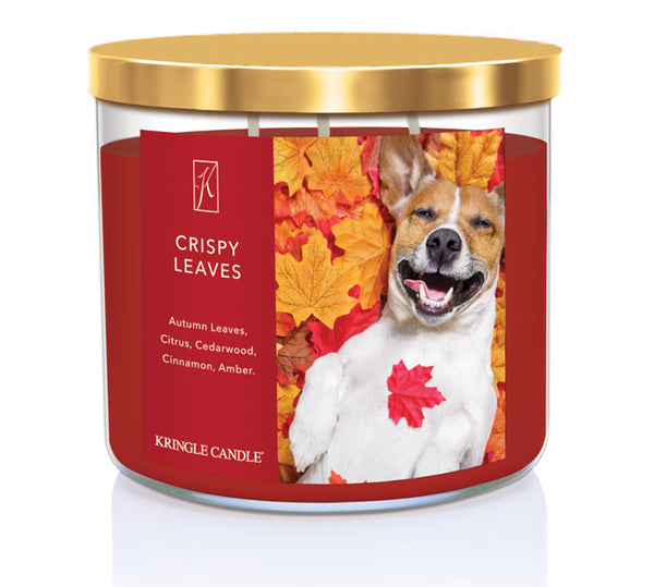 Kringle Candle Crispy Leaves candle with a dog and autumn leaves design on the label.