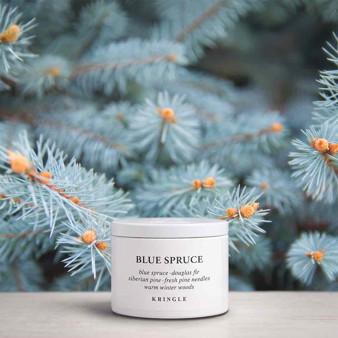 Blue Spruce | 1-Wick Tin 3 oz