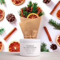 Cypress & Cinnamon | 1-Wick Tin 3 oz