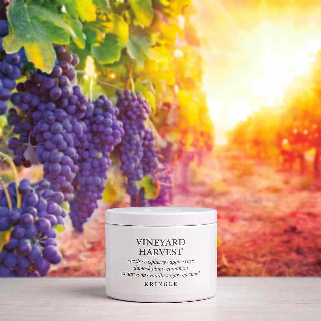 A white jar of KRINGLE Vineyard Harvest candle sits on a light surface against a vibrant, blurred vineyard background with purple grapes and warm golden sunlight.