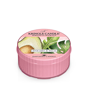 Avocado & Palm 12-pack | DayLight