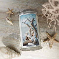 Coral Large 2-Wick - Kringle Candle Company