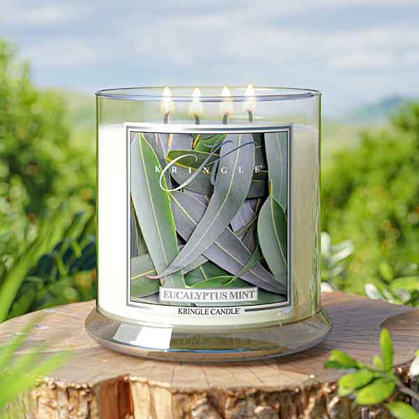 Eucalyptus Mint Scented Extra Large 4-wick candle - Kringle Candle Store