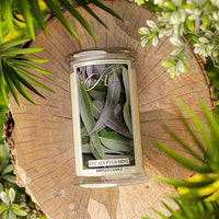 Eucalyptus Mint Scented Large 2-wick - Kringle Candle Company