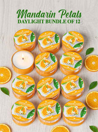 Mandarin Petals daylight candles bundle with oranges and leaves on a light background