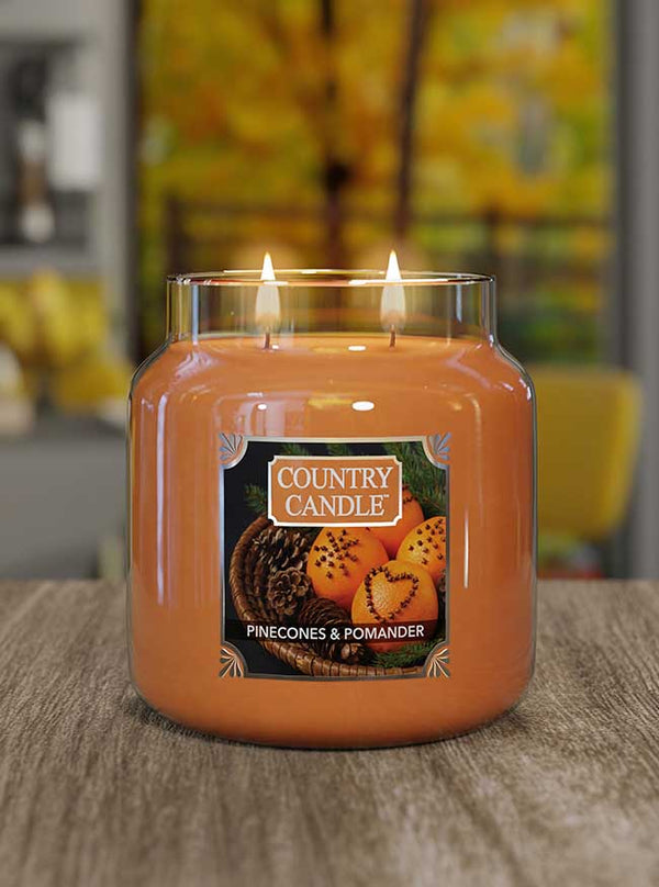 Pinecones & Pomander Medium 2-wick