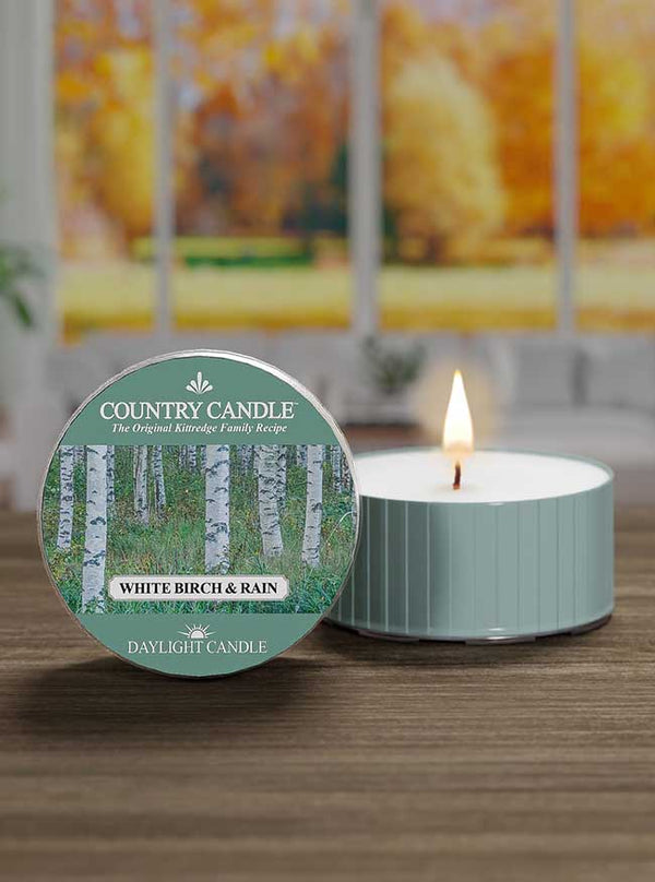 White Birch & Rain | DayLight - Kringle Candle Company