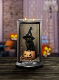 Cute Black Cat on a Pumpkin Large 2-Wick - Kringle Candle Company