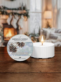 Winter Wonderland | DayLight