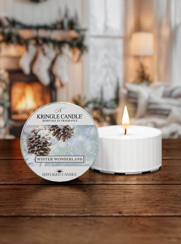 Winter Wonderland | DayLight