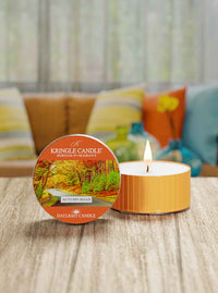 Autumn Road | DayLight