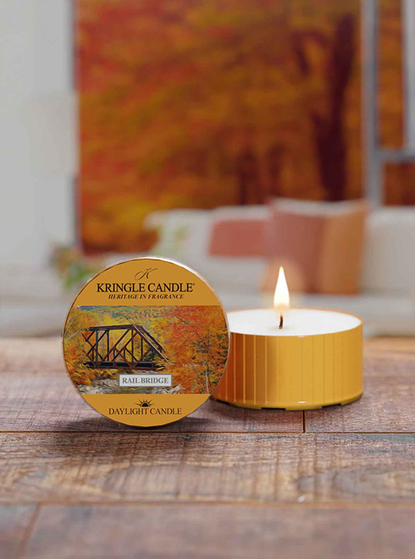 Rail Bridge | DayLight