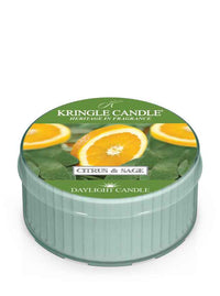 Kringle Candle Citrus & Sage daylight candle on a white background