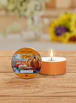 Autumn Spice | DayLight