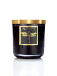 Antidote Scented 2-wick candle from Kringle Noir Collection - Kringle Candle Store