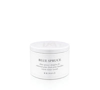Blue Spruce | 1-Wick Tin 3 oz