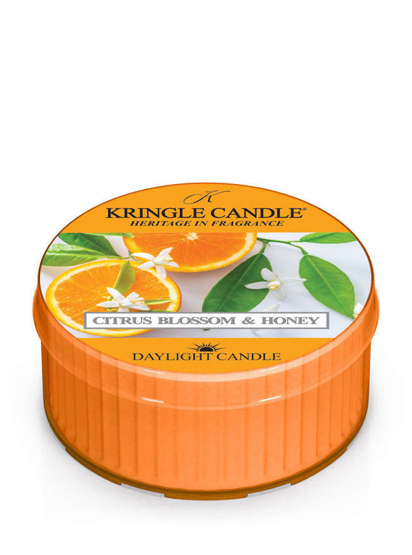 Kringle Candle Citrus Blossom & Honey daylight candle on a white background