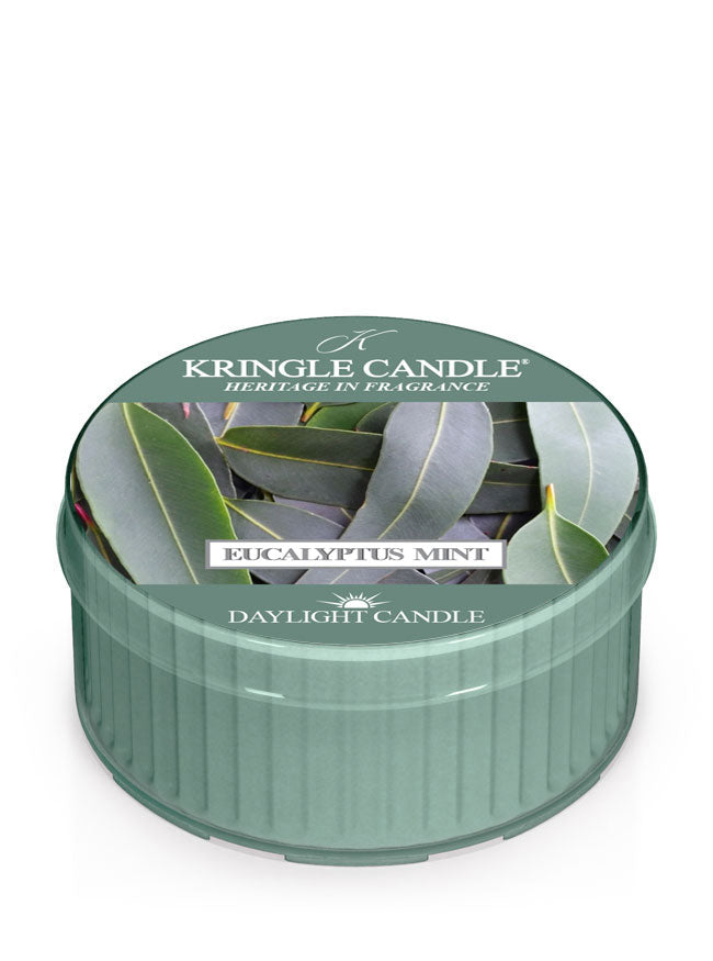 Kringle Candle Eucalyptus Mint daylight candle on a white background