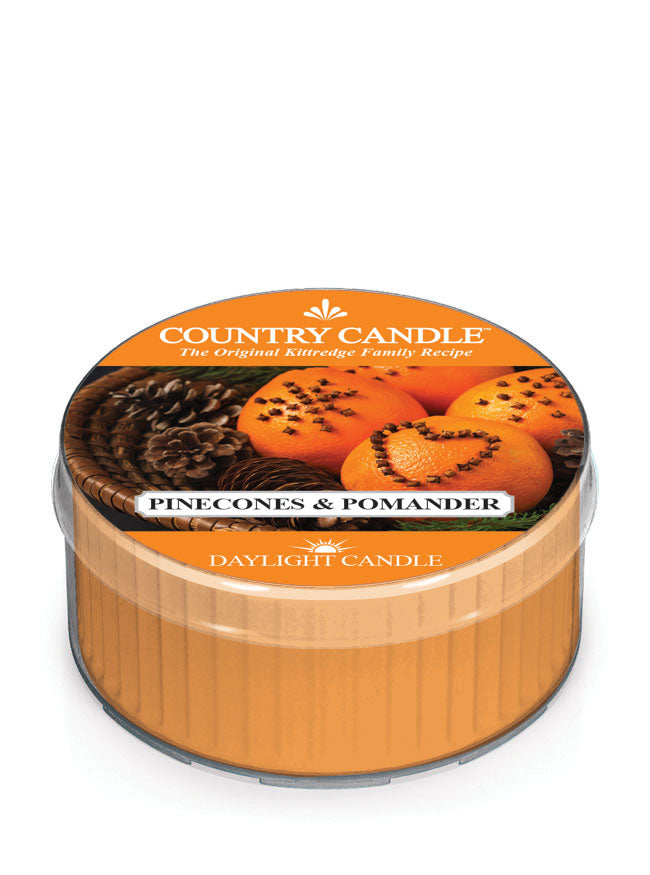 Pinecones & Pomander | DayLight - Kringle Candle Company