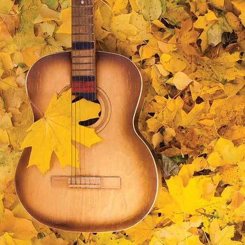 Acoustic guitar with a yellow leaf on a bed of autumn leaves