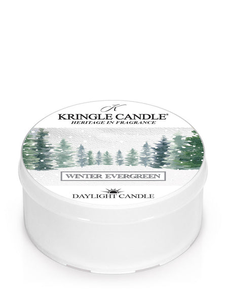 Winter Evergreen Scented Daylight Candle | Kringle Candle