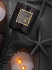 Nautilus Scented 2-wick candle from Kringle Noir Collection - Kringle Candle Store