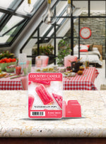 Watermelon Pops | Wax Melt