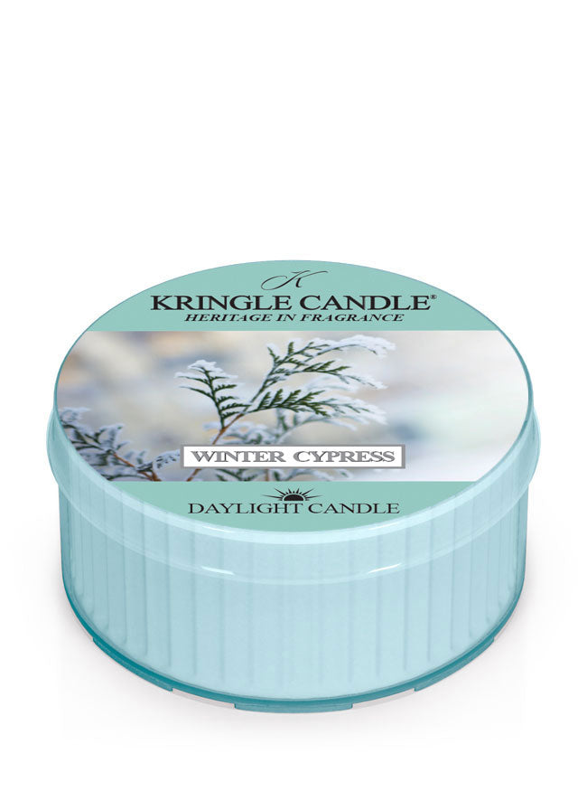 Winter Cypress | DayLight - Kringle Candle Company